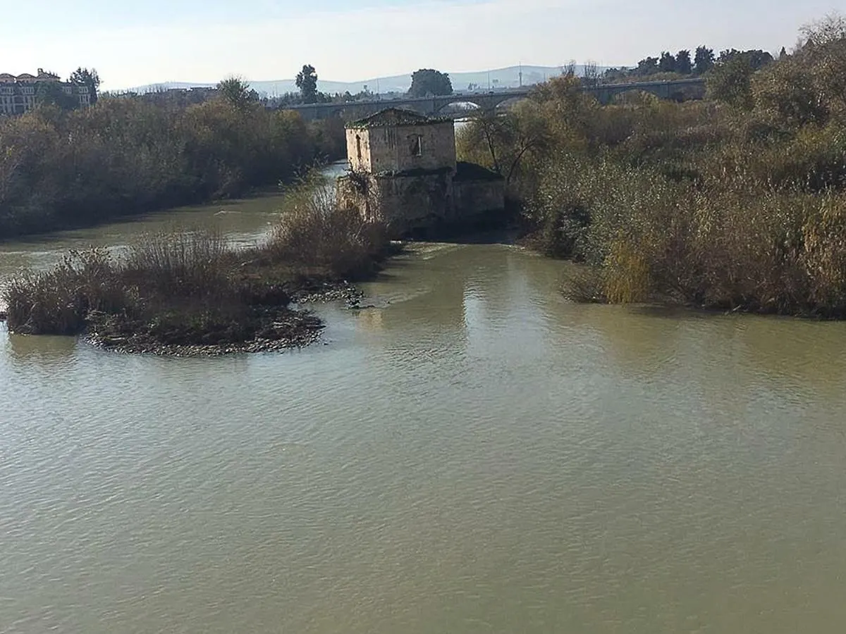 El Mirador De La Mezquita-Catedral Apartment Cordoba